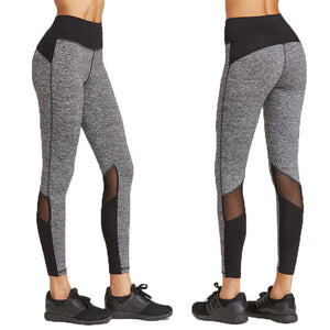 Women's Exercise Running Yoga Sports Fitness Leggings - Dash Plaz